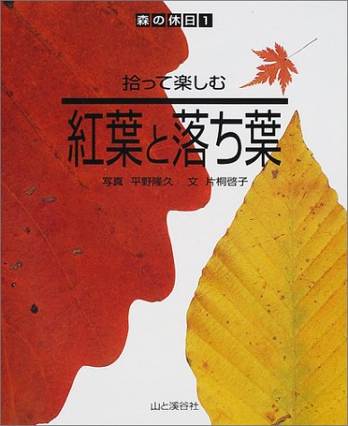 秋色満開！紅葉と落ち葉の本