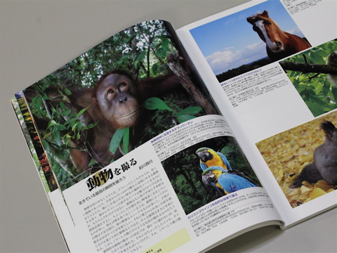 BONBON44 動物の豊かな表情を捉えるにはタイミングが大切!