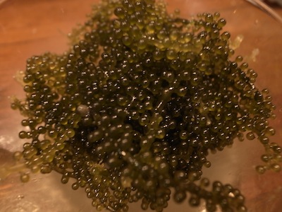 R0019776 R0019776