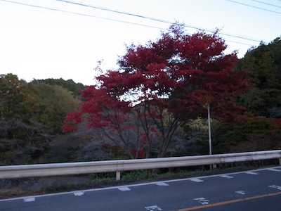 R0020022 R0020022