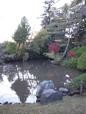 R0020033 R0020033
