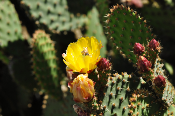 DSC_0944 DSC_0944