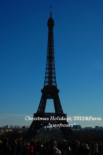 DSC_2112 DSC_2112