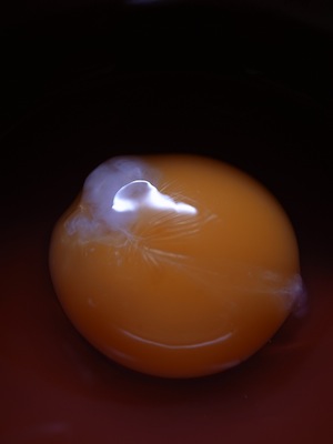R0027187 R0027187