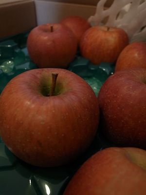 R0027242 R0027242