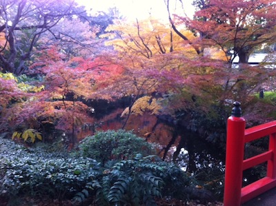 写真 3 写真 3