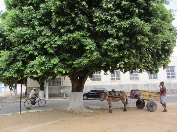 mercado pirapora