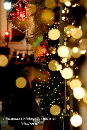 DSC_1876 DSC_1876