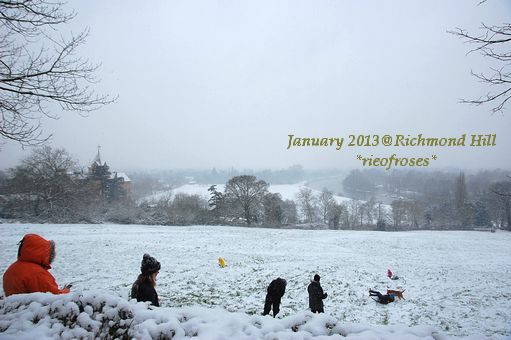DSC_2332 DSC_2332