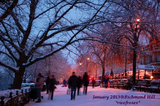 DSC_2384 DSC_2384