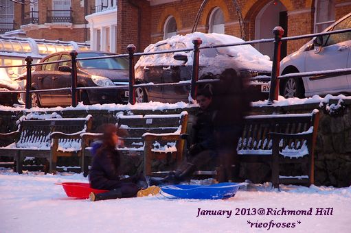 DSC_2387 DSC_2387
