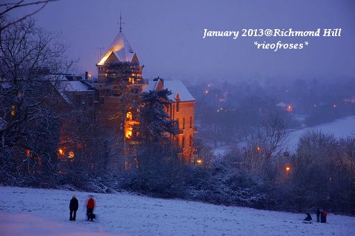 DSC_2388 DSC_2388