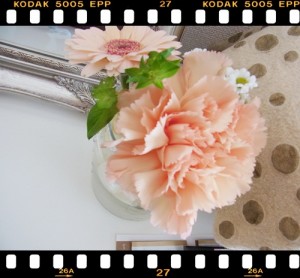 RIMG0138 まだまだ寒いこの季節・・・ピンクのお花を眺めて春を待ちます・・・♪