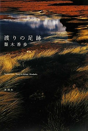鳥の目線でたどる旅