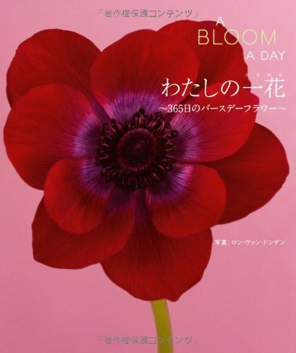 366日の誕生花