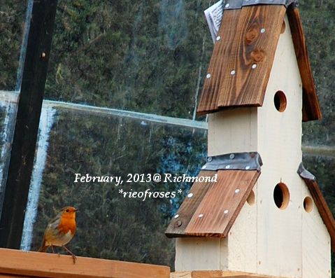 DSC_2559 DSC_2559