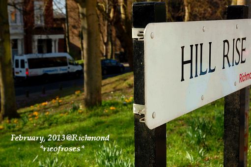DSC_2616 DSC_2616