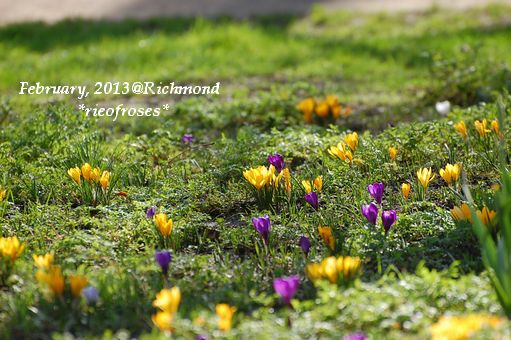 DSC_2617 DSC_2617