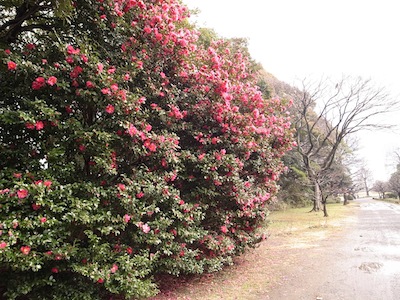 R0027953 R0027953