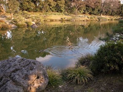 2013-02-11 16.33.29