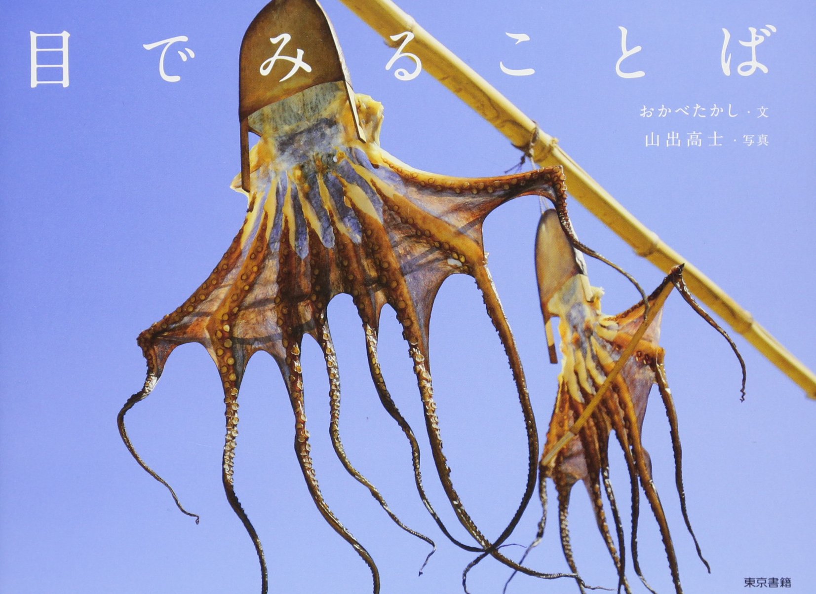 言葉の由来を写真に撮った！『目でみることば』