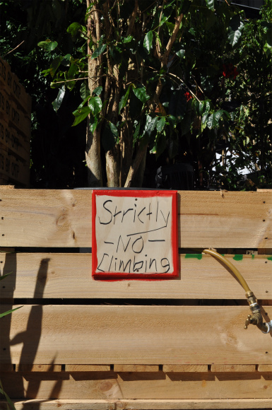 DSC_1178 DSC_1178