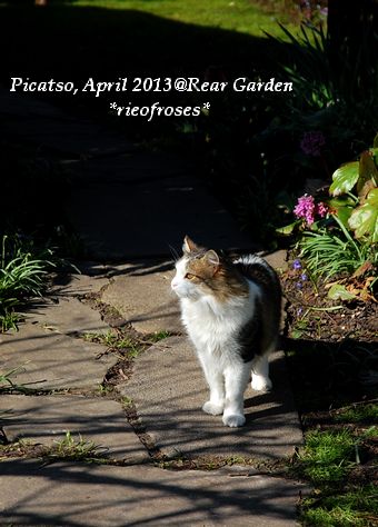 DSC_2952 DSC_2952
