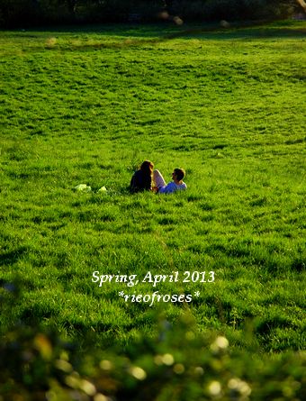DSC_3204 DSC_3204