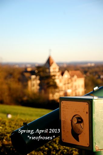 DSC_3226 DSC_3226