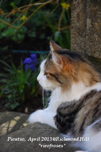 DSC_3239 DSC_3239