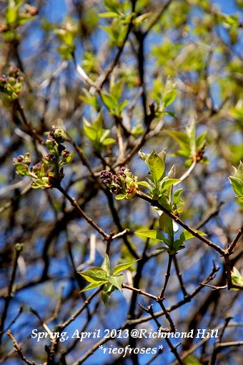 DSC_3255 DSC_3255