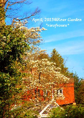DSC_3274 DSC_3274