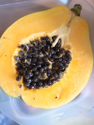 R0028221 R0028221
