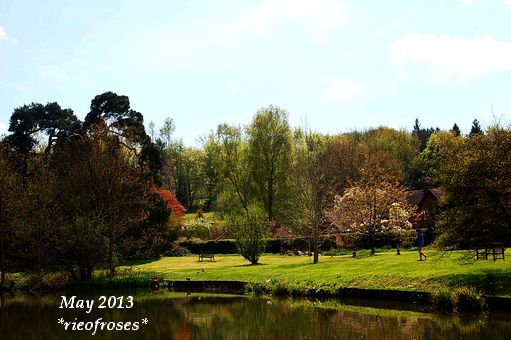 DSC_3689 DSC_3689
