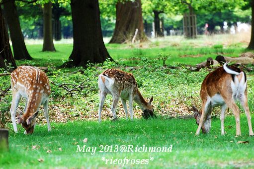 DSC_3922 DSC_3922