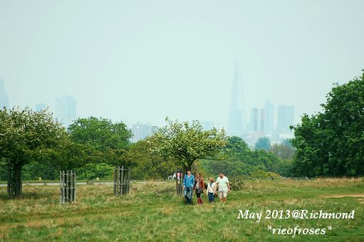 DSC_3923 DSC_3923