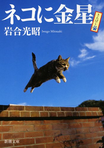 ニッポンの個性的な猫たちが大集合！岩合光昭のフォトエッセイ『ネコに金星』