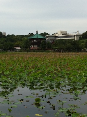 写真 7 写真 7