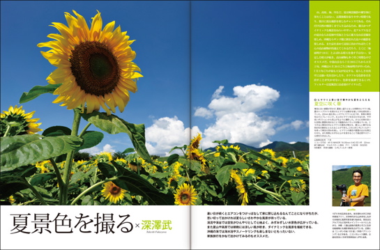 BONBON57 夏真っ盛りの明野のヒマワリ畑。明るい色彩が際立つ。