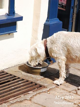 DSC_4151 DSC_4151