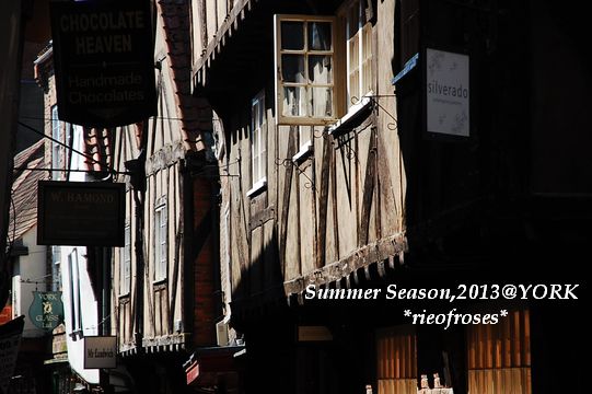 DSC_4313 DSC_4313
