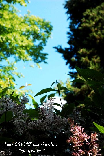 DSC_4681 DSC_4681