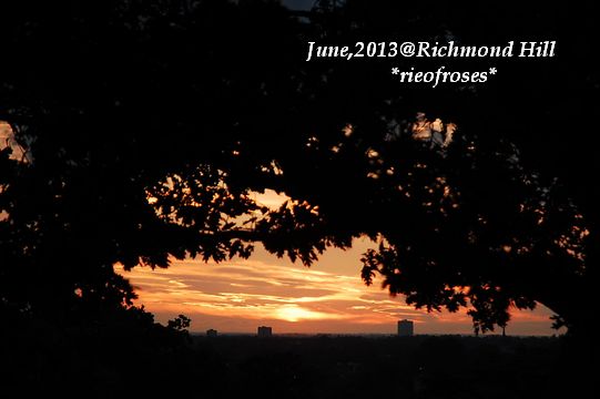 DSC_5245 DSC_5245