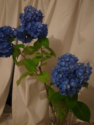 R0030348 R0030348