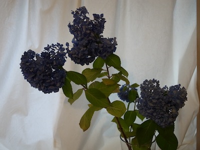 R0030380 R0030380