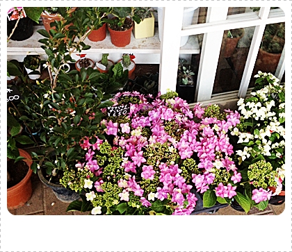 g ちなみに、忙しい時の癒しはお花!近所のお花やさんで好きな花を購入して飾るだけでとてもうれしいですよね。