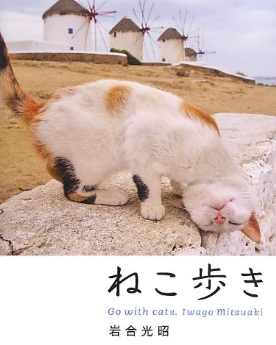 岩合光昭『ねこ歩き』世界各国の猫たちに出会える写真集