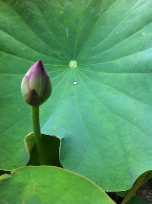 写真 1