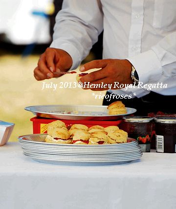 DSC_5956 DSC_5956