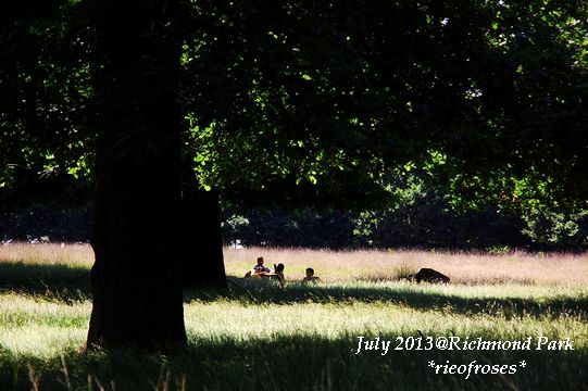 DSC_5988 DSC_5988